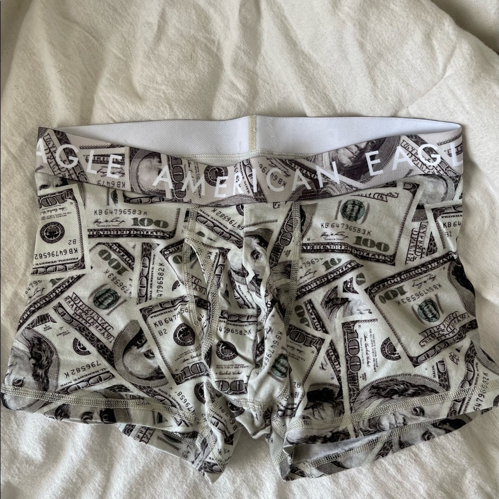 AE briefs